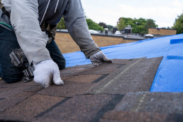 Best Roof Maintenance Services  in Paramount Long Meadow, MD